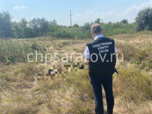 Проводится проверка по факту обнаружения человеческих останков в Балаковском районе
