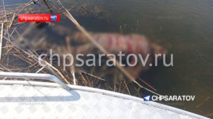 В Гагаринском районе рыбак обнаружил тело мужчины
