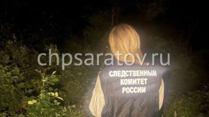 В Балашовском районе мужчина зарезал трех человек

