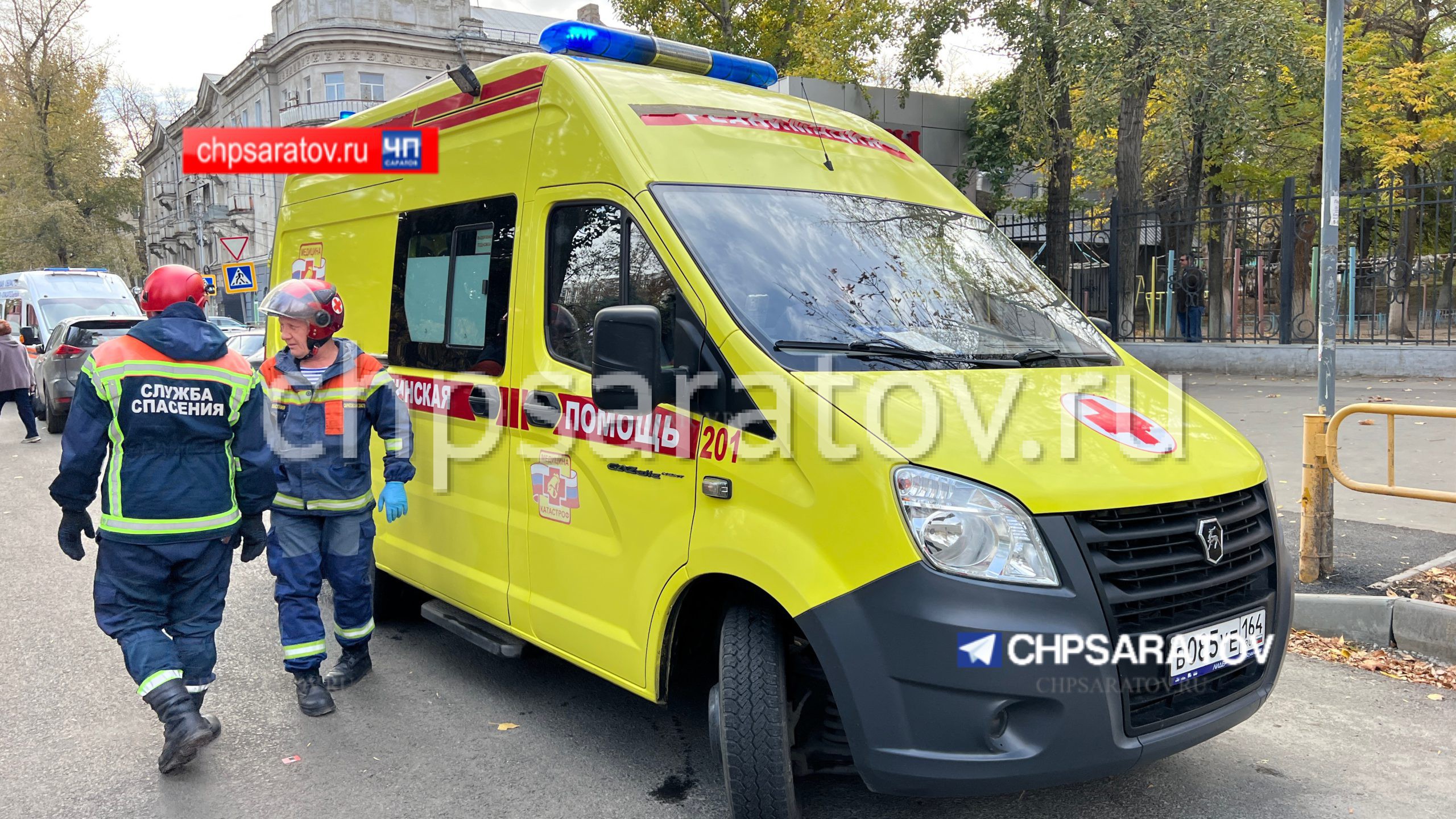 В результате падения ветки от дерева пострадала женщина | 12.10.2023 |  Саратов - БезФормата