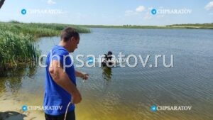 Нетрезвый мужчина утонул в Балашовском районе
